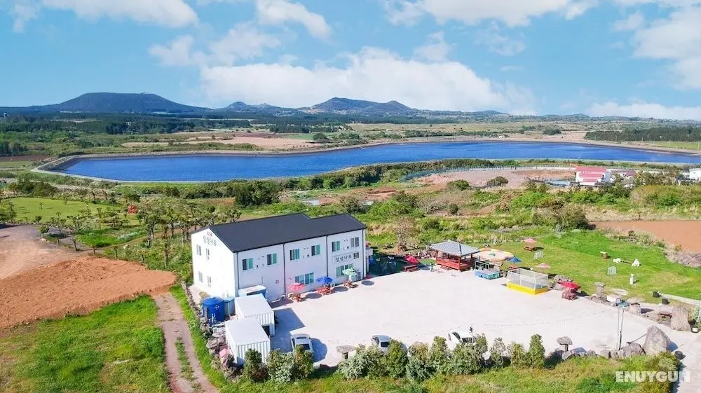 Seogwipo Sangsangnamu kiz Pension - Dış Mekan