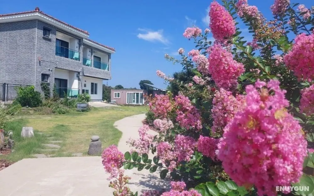 Seogwipo Soesokkak Cheonil Pension - Öne Çıkan Resim