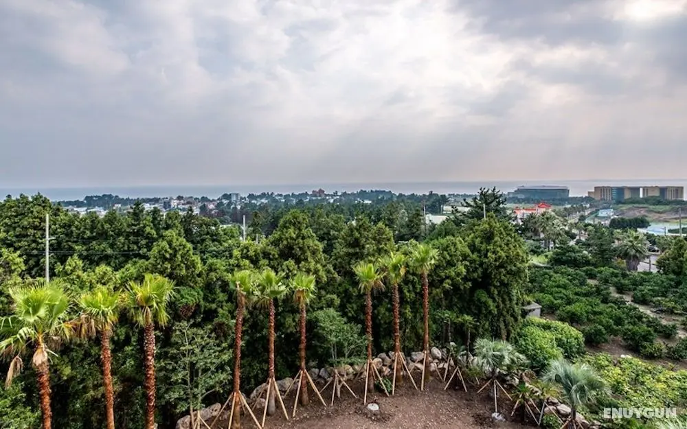 Seogwipo Sunrise Hotel Jungmun - Oda