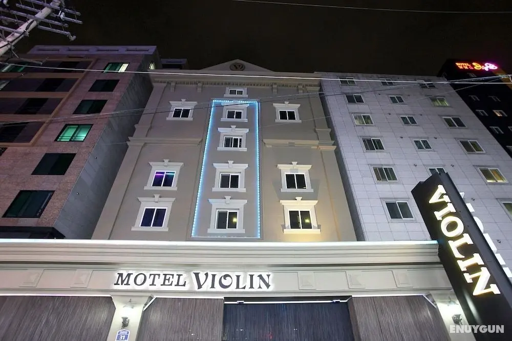 Seoul National University Violinh - Dış Mekan