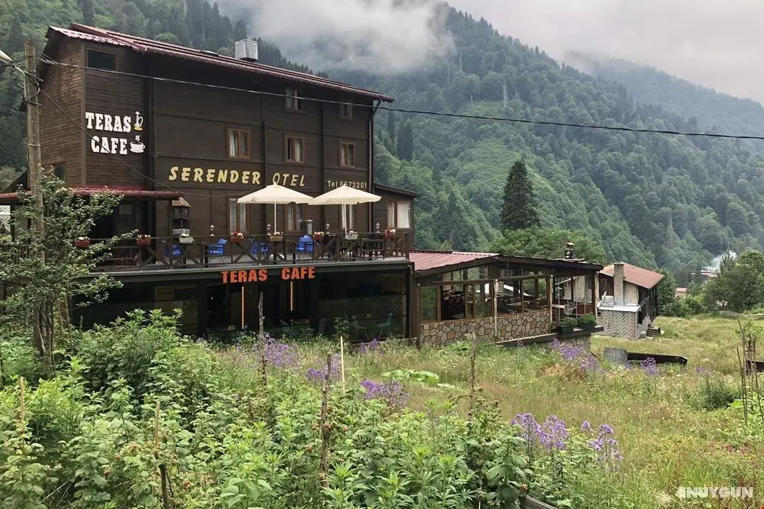 Serender Otel - Genel