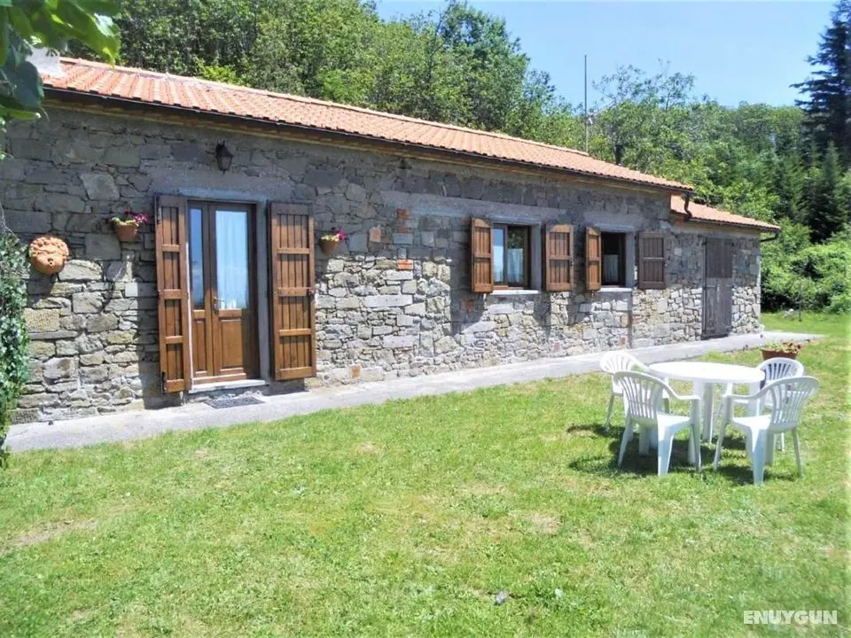 Serene Holiday Home in Femminamorta With Private Garden - Öne Çıkan Resim