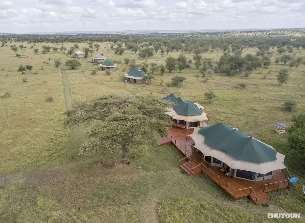 Serengeti Acacia Central Camp - Lobi