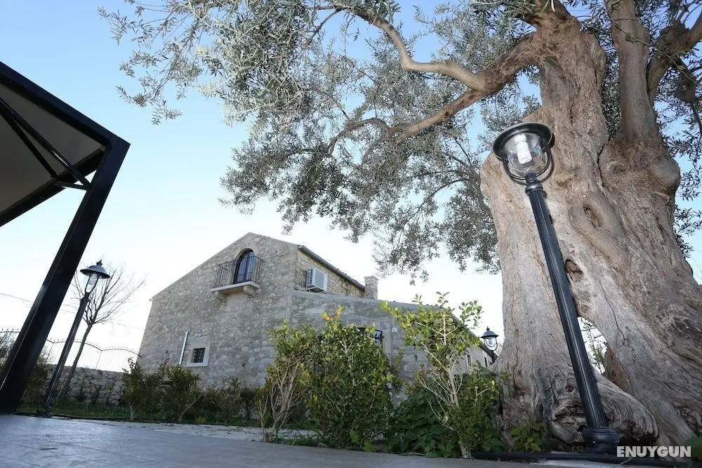 Serravalle Relais & Country Villa - Dış Mekan