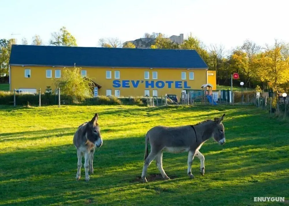 Sev'hotel - Öne Çıkan Resim