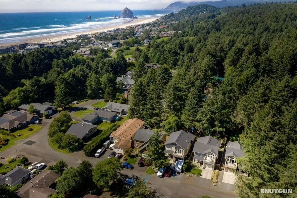 Seven Spruce by Avantstay Cute Cottage w/ Yard & 10 Mins to Tolovana Beach State Park - İç Mekan
