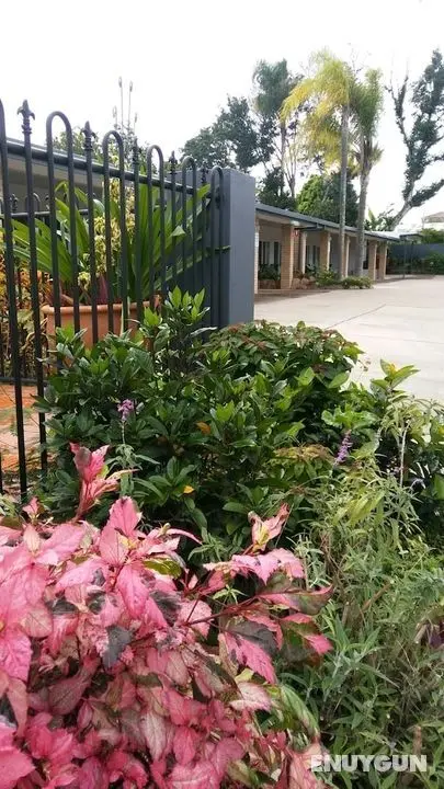 Shady Rest Motel - Öne Çıkan Resim