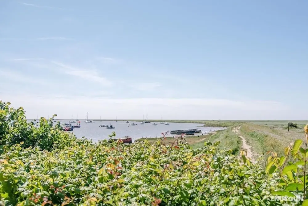 Shallow End, Orford - İç Mekan