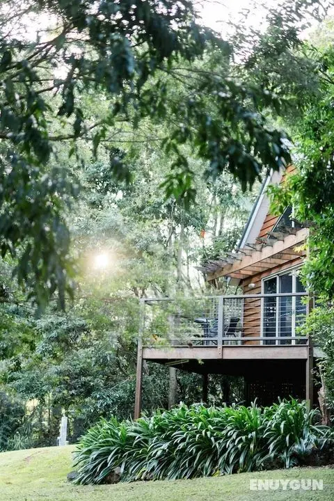 Shambala Estate - Öne Çıkan Resim