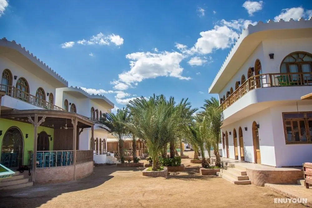 Shams Hotel & Dive Centre - Öne Çıkan Resim