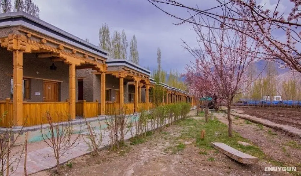 Shangri La Camp - Dış Mekan