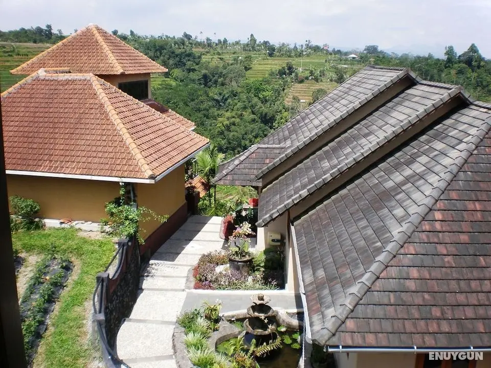 Shangrilah Villas - Öne Çıkan Resim