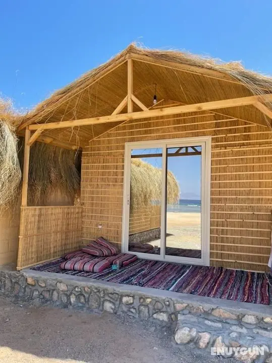 Shanty camp - Oda