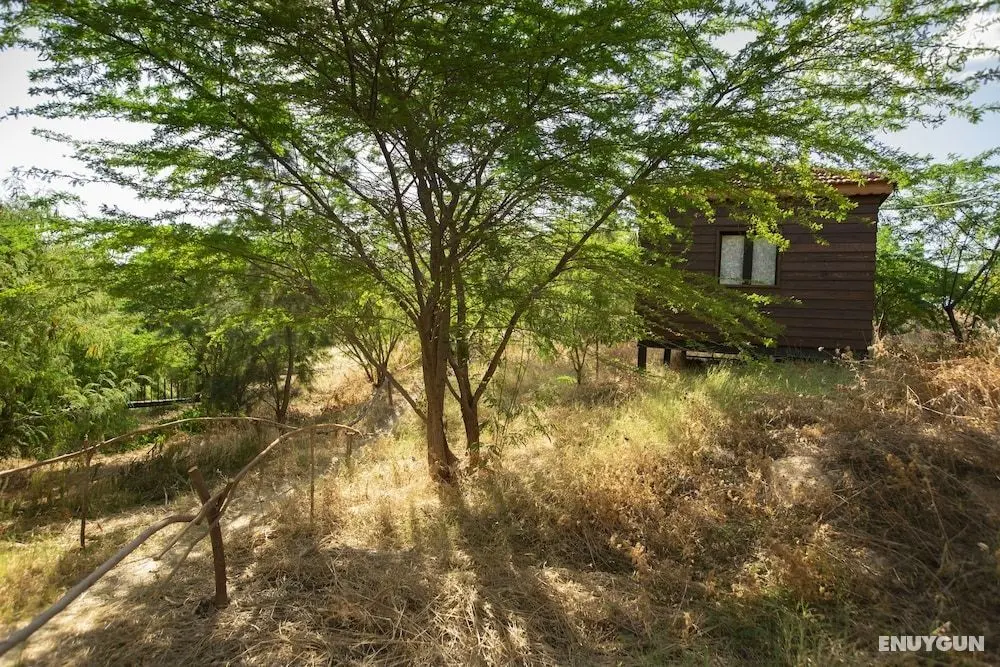 Sharhabil Bin Hasnah Ecopark - Oda Manzaraları