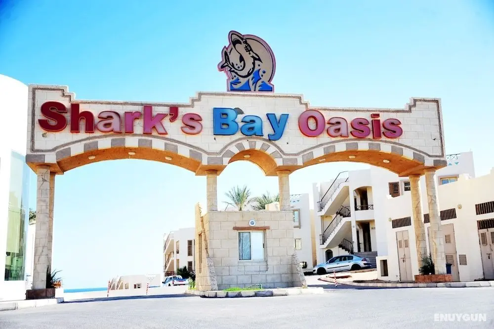 Shark Bay Oasis - Öne Çıkan Resim