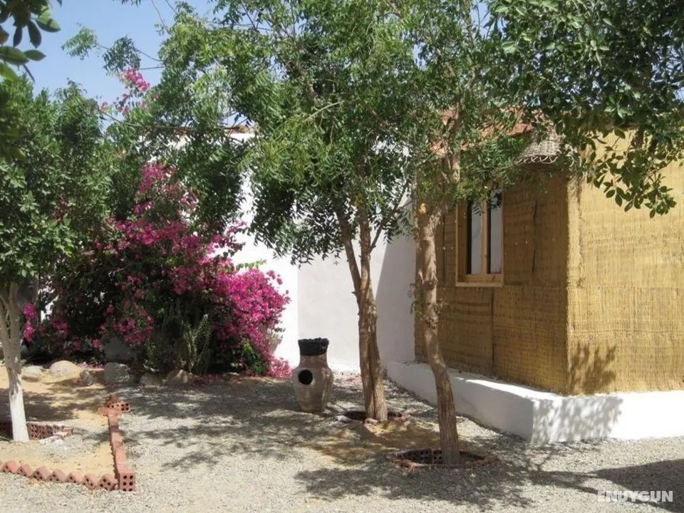 Sharks Bay Umbi Diving Village - Genel