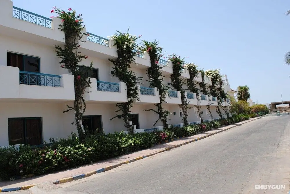 Sharm Cliff Resort - Dış Mekan