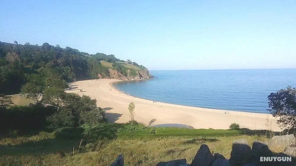 Sheena's Dartmouth Chalets - İlgi Noktası
