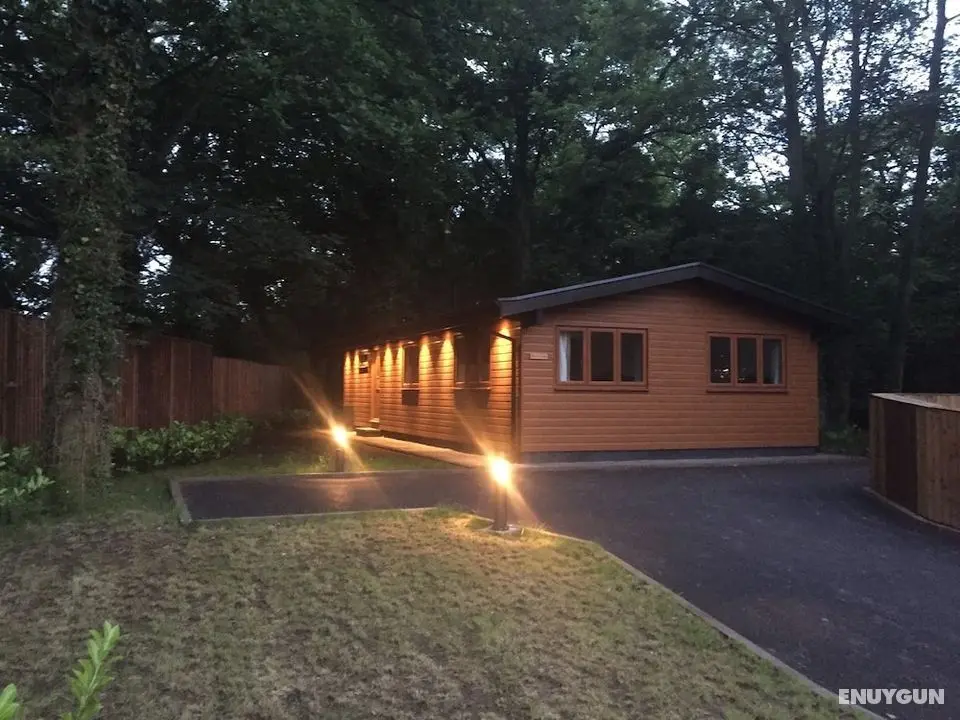 Shellow Lane Lodges - Öne Çıkan Resim