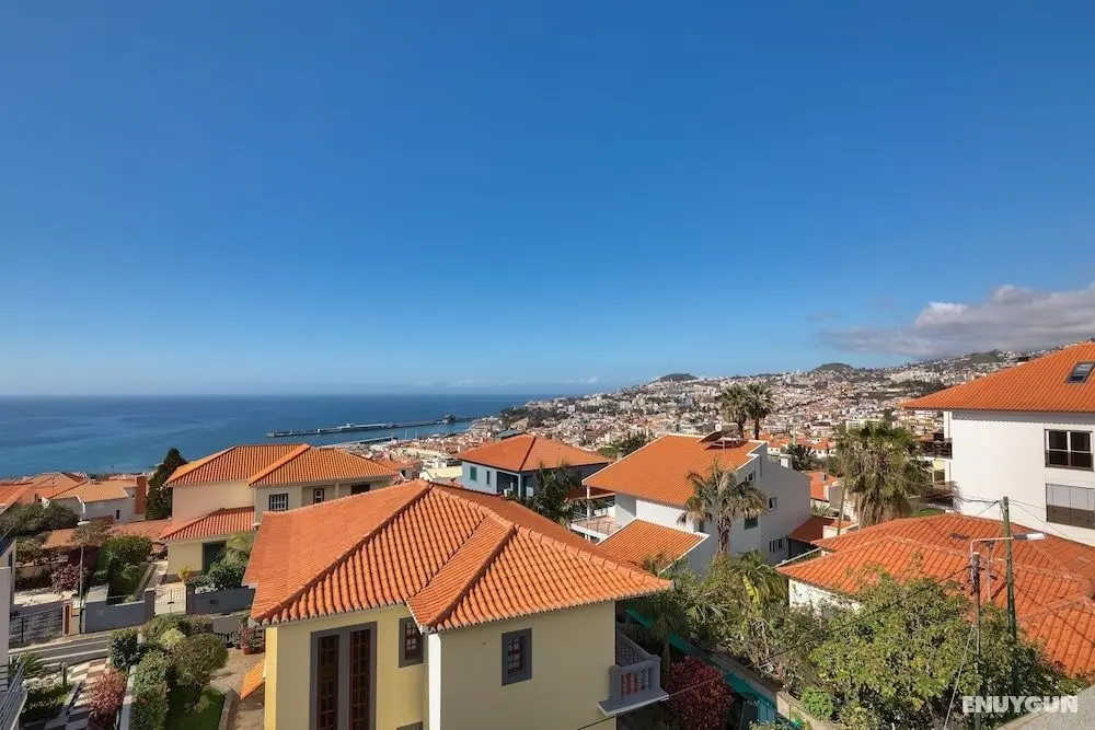 Shepard Villa - Oda Manzaraları