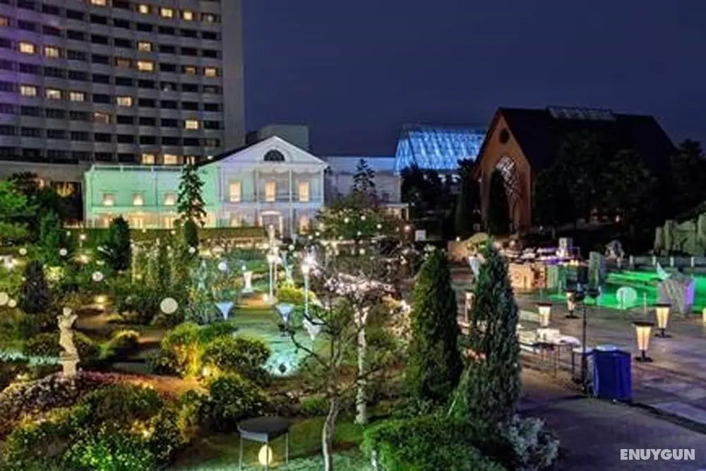 Sheraton Grande Tokyo Bay Hotel - İş / Konferans