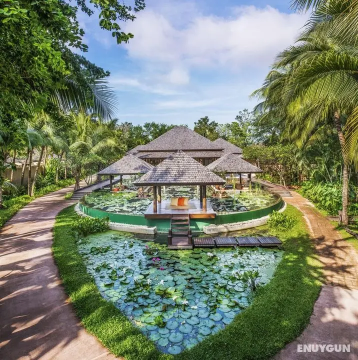 Sheraton Hua Hin Pranburi Villas - Genel