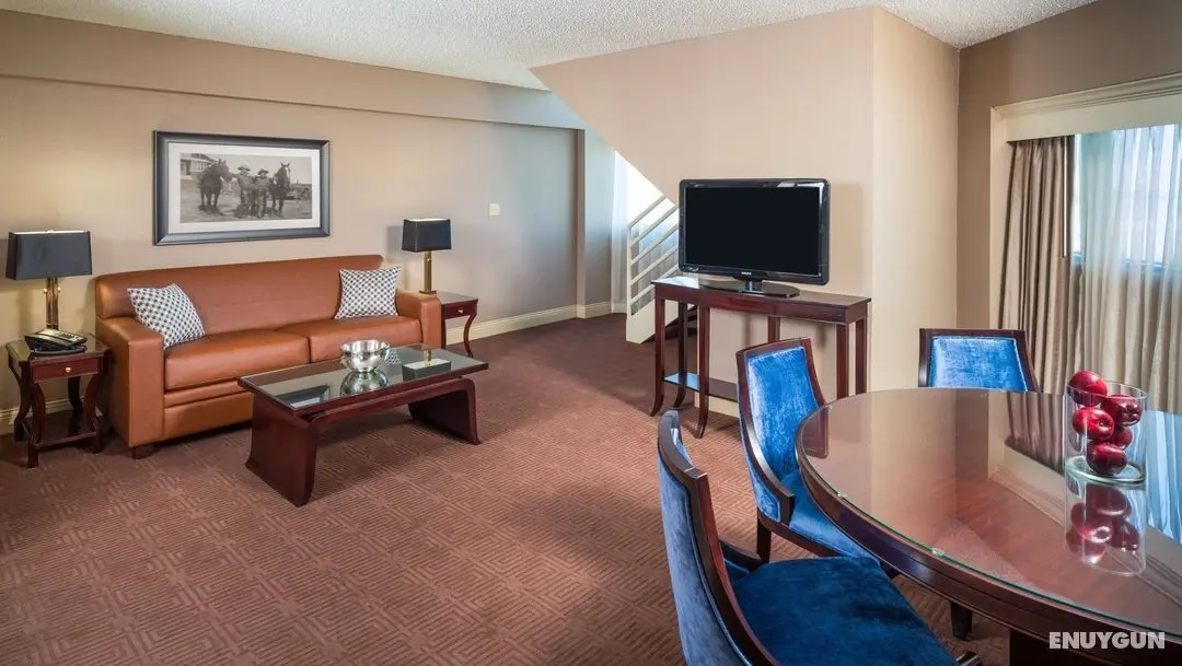 Sheraton North Houston at George Bush Intercontinental - Genel