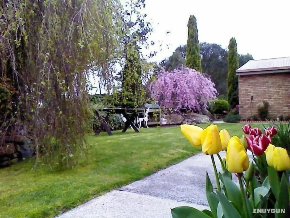 Sherwood View Accommodation - Öne Çıkan Resim
