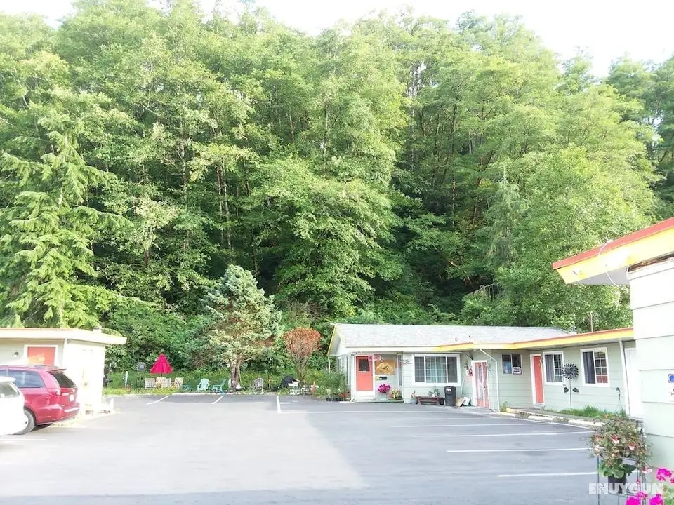 Shiny Motel - Öne Çıkan Resim