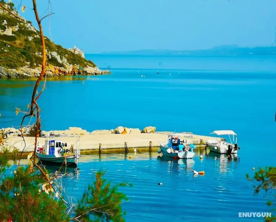 Shipwreck House - Öne Çıkan Resim