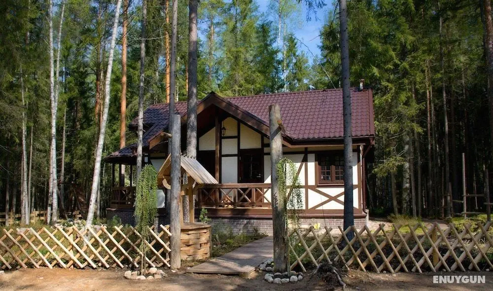 Shishki na Lampushke - Bavarsky Khutor - Oda