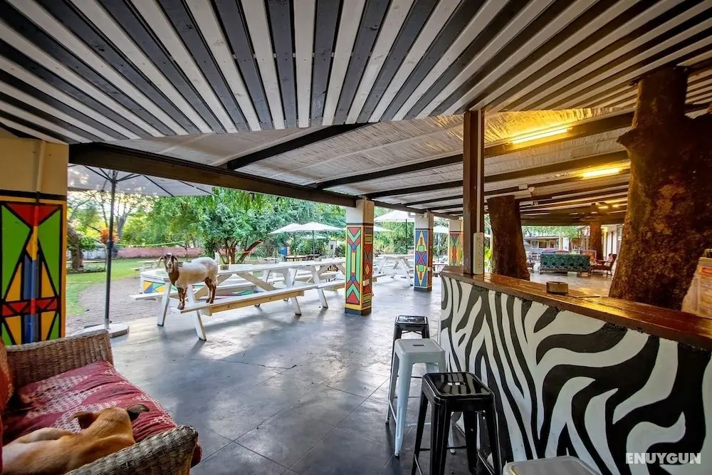 Shoestrings Backpackers & Bar - Öne Çıkan Resim