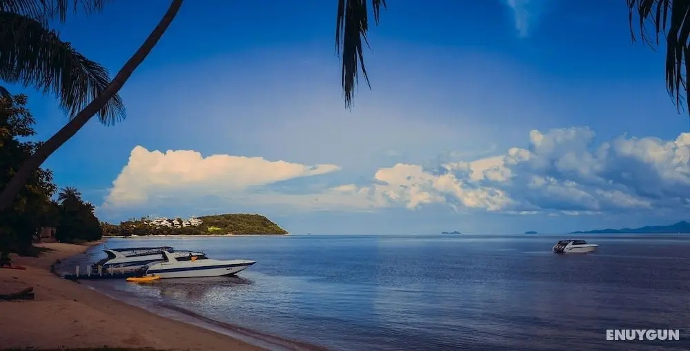 The Shore Samui - Öne Çıkan Resim