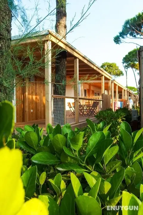SiCamp in Camping Village Cavalino - Öne Çıkan Resim