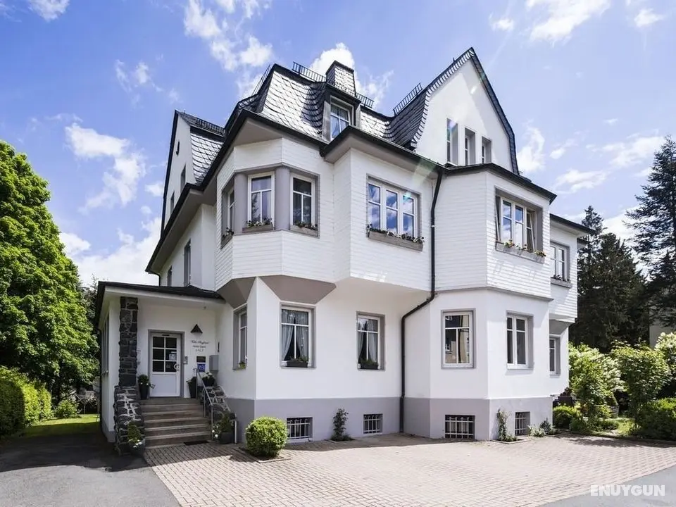 Villa Siegfried - Genel