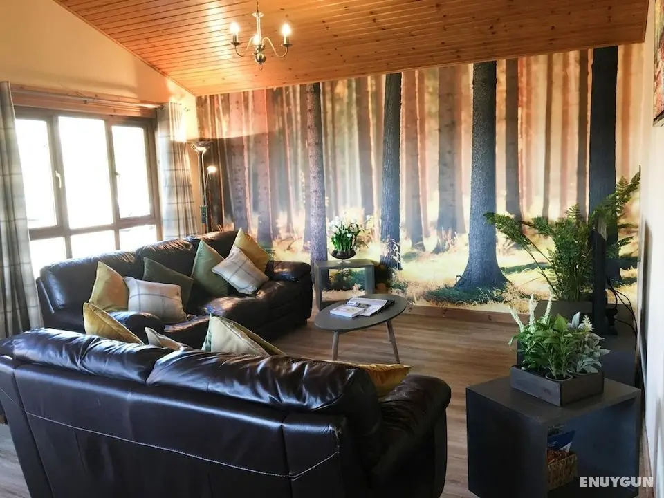 Silver Birch Lodge With Hot Tub Near Cupar, Fife - Öne Çıkan Resim
