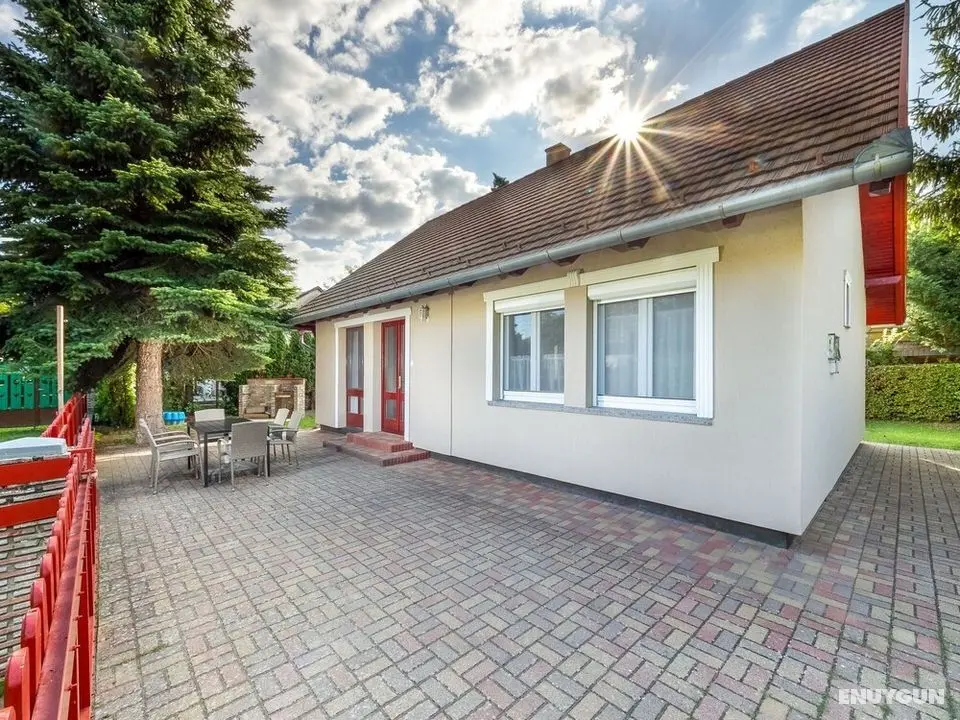 Silver Pinea Balatonm Riaf rd - Öne Çıkan Resim