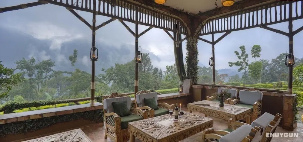 Silverback Lodge - Öne Çıkan Resim