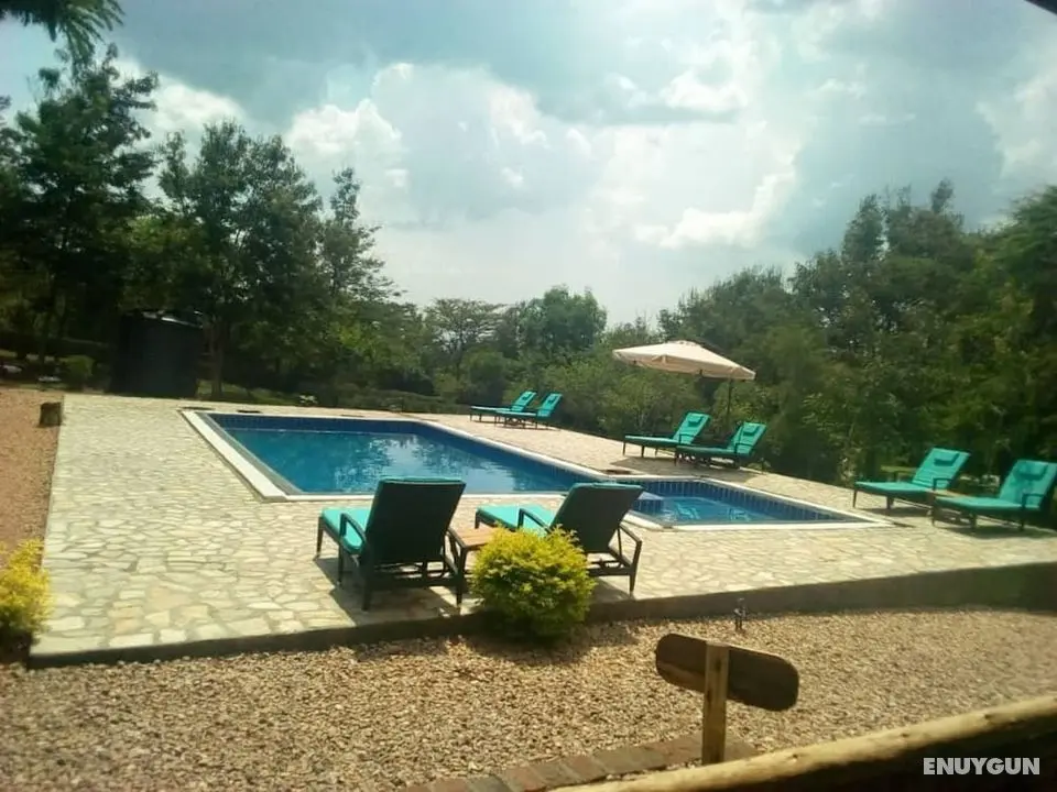 Simba Safari Camp - Havuz