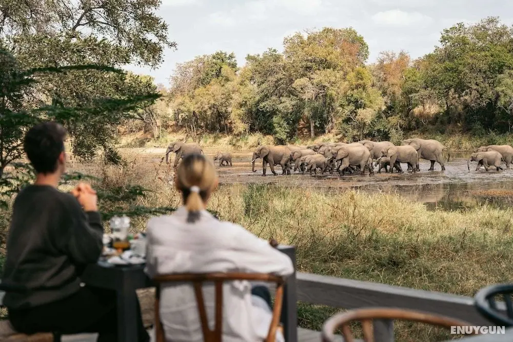 Simbavati River Lodge - Öne Çıkan Resim