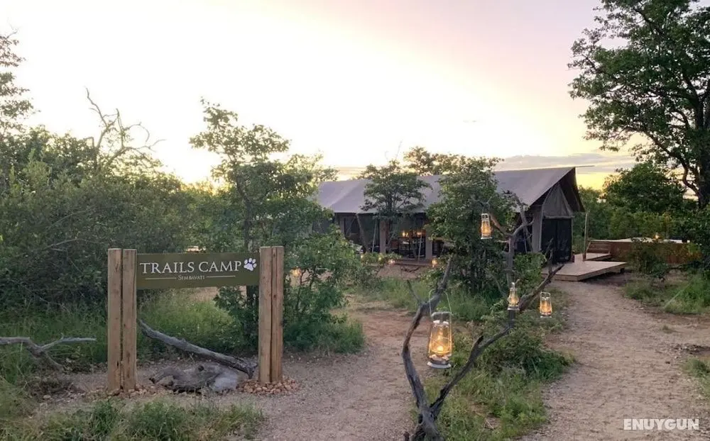 Simbavati Trails Camp - Öne Çıkan Resim