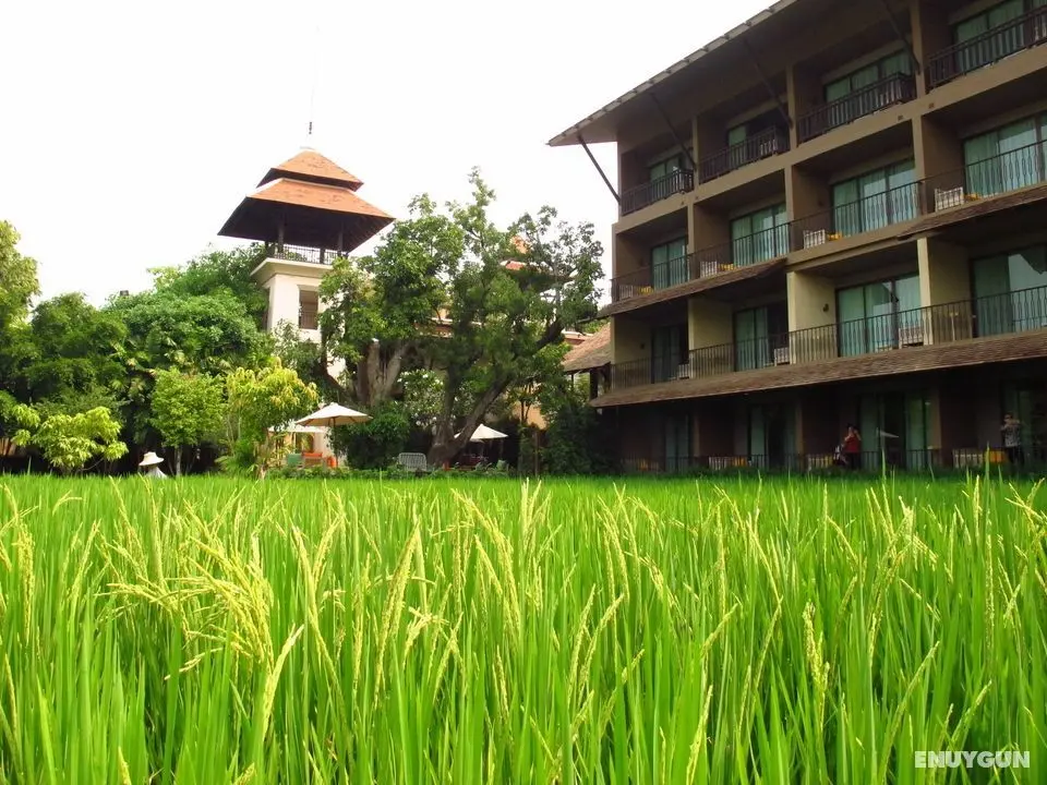 Siripanna Villa Resort & Spa Chiangmai - Genel