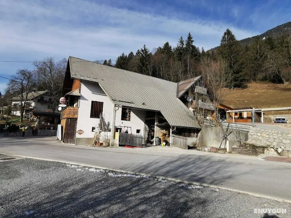 Slovenian Traditional Guesthouse - Öne Çıkan Resim