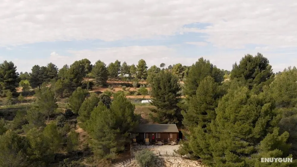 Slow Life Camping Venta del Moro - Dış Mekan