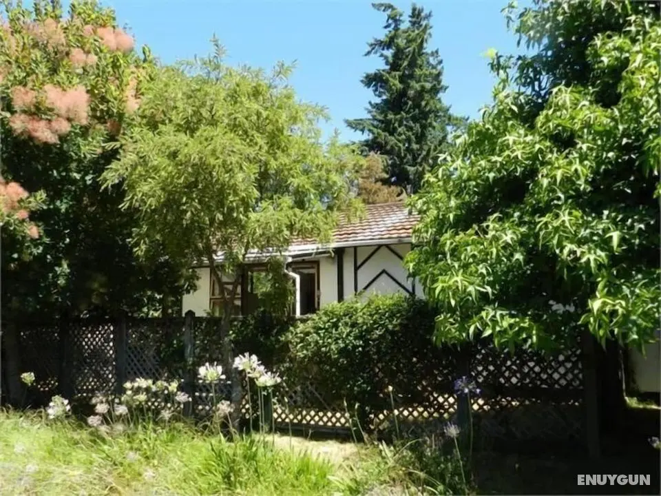 Smokebush Cottage with WIFI - Dış Mekan
