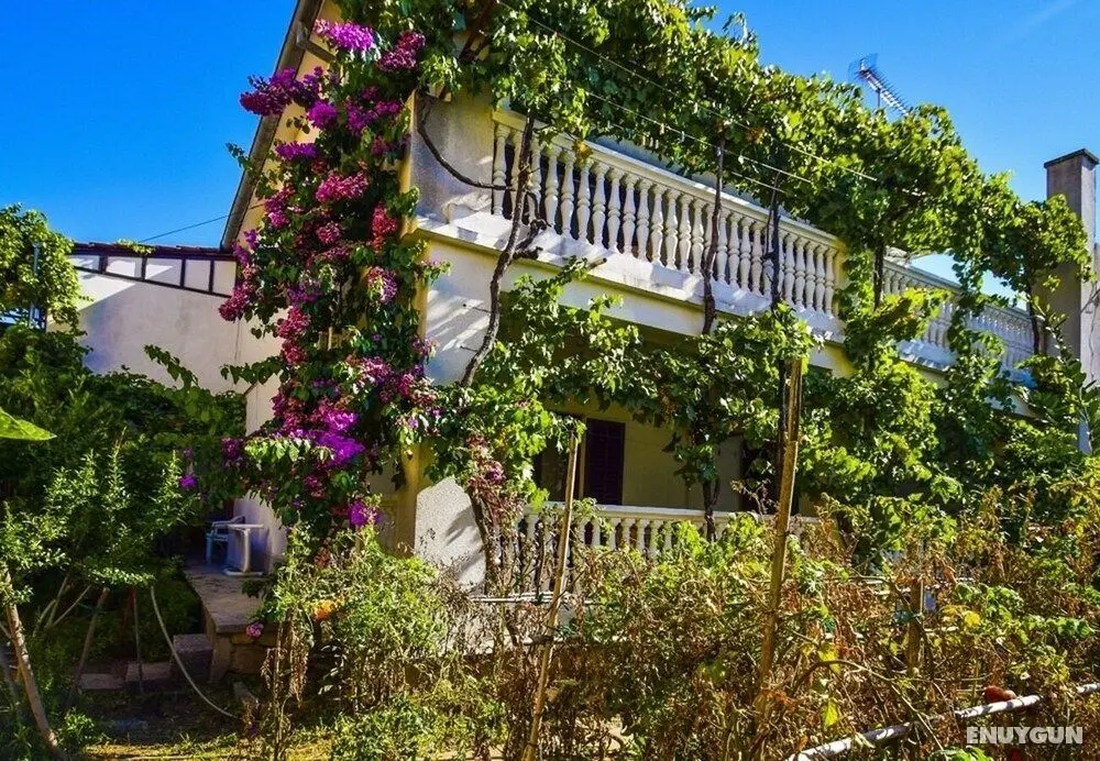Snježa - Green House - B2 Snjezana - Dış Mekan