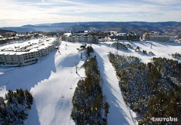 Snowcrest - Genel