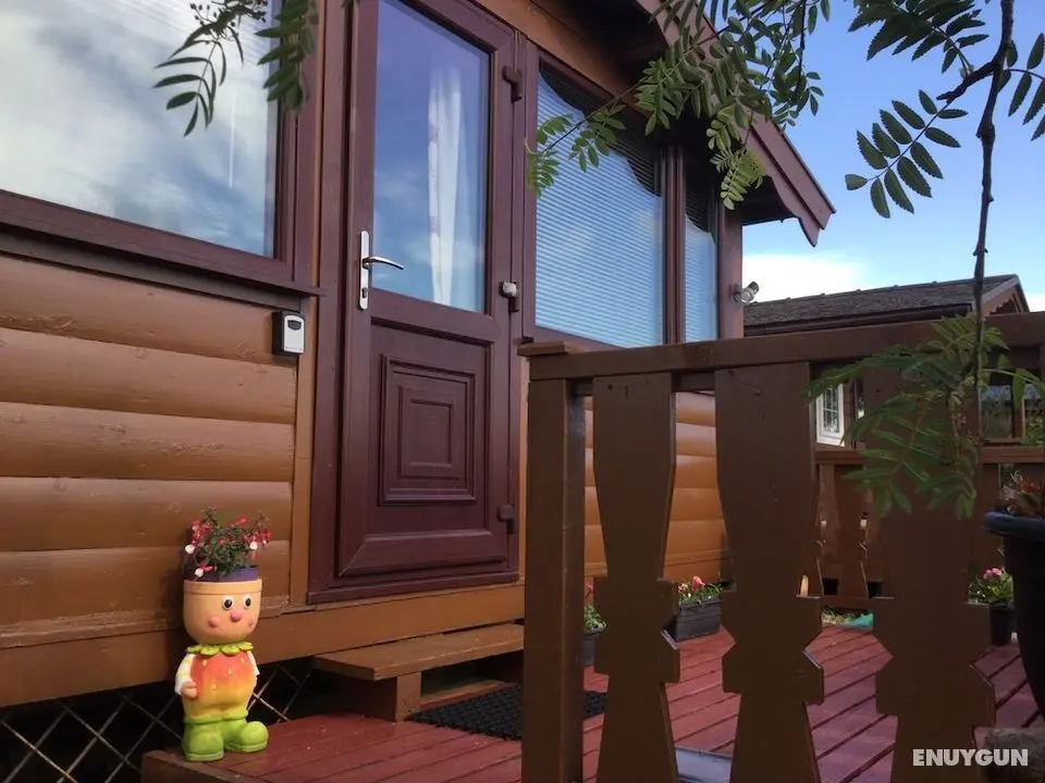 Snowdonia National Park Log Cabin With Garden - Öne Çıkan Resim