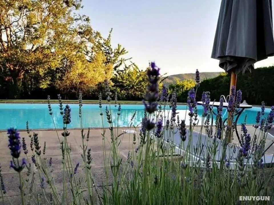 Snug Apartment in Casole D'elsa With Garden - Öne Çıkan Resim