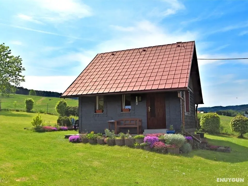 Snug Holiday Home in Altenfeld With Private Terrace - Öne Çıkan Resim